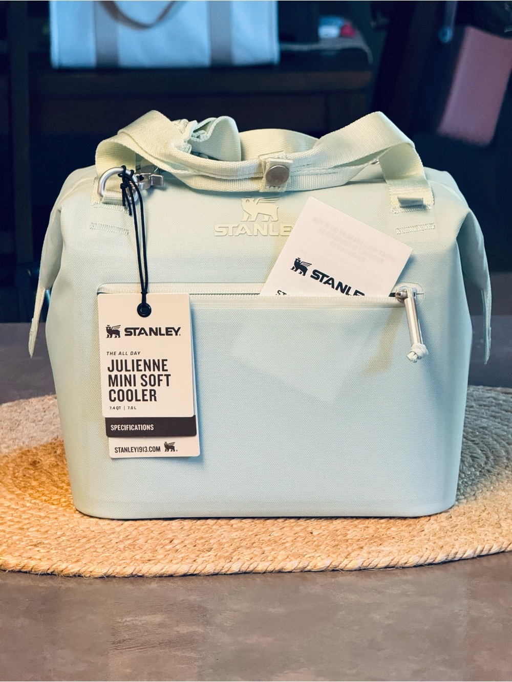 Stanley Julienne Mini Soft Cooler in Mint
